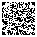QR код "Penguin"