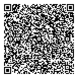 QR код "Demis Group"