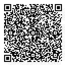 QR код "Galactikka"