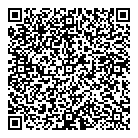 QR код "Домино"