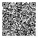QR код "Фрактал"