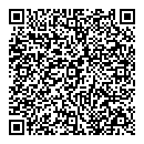 QR код "Экспресс"