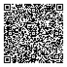 QR код "Домино"