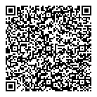QR код "Пируэт"