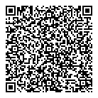 QR код "VIGIS"
