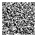 QR код "Глобус"