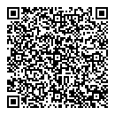 QR код "Visa Group"
