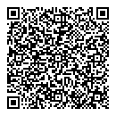 QR код "Выбор"