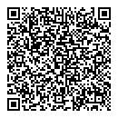 QR код "Remix"
