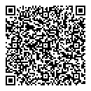 QR код "Домино"