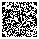 QR код "Викинги"