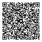 QR код "Plan B"