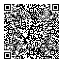QR код "Вектор"