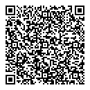 QR код "Flyer Online"