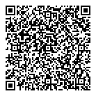 QR код "Звездный"