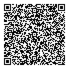QR код "Домино"