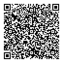 QR код "Динамо"