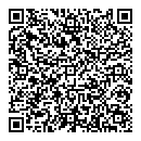 QR код "Глобус"