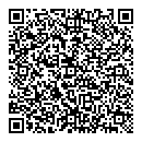 QR код "Домино"