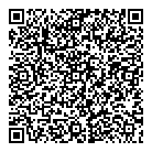QR код "Глобус"