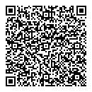 QR код "Спутник"