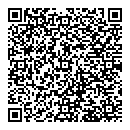 QR код "33 пингвина"