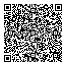 QR код "Womanizer"