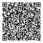 QR код "Симплекс"