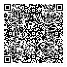 QR код "Ньютон"