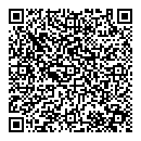 QR код "Алиса"