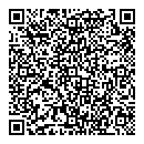 QR код "Domino"