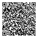 QR код "Биплан"