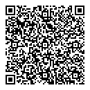 QR код "Биплан"