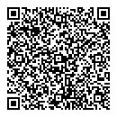 QR код "ДНС"