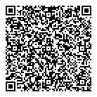 QR код "Доктор Дизель"