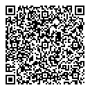 QR код "Дружина"