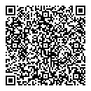 QR код "ДНС"