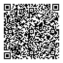 QR код "Паутина"