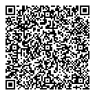QR код "Гора дисков"