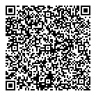 QR код "Хамелеон"