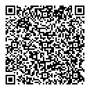 QR код "Профаудит"