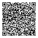 QR код "Алиса"