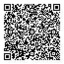 QR код "Молния"