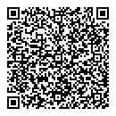 QR код "Алиса"