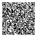 QR код "Разный"