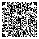 QR код "Профессионал"