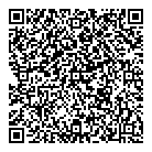 QR код "Иголочки"