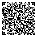 QR код "Индиго"