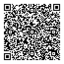 QR код "Созвездие"