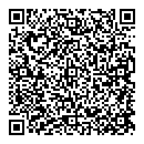 QR код "Глобус"
